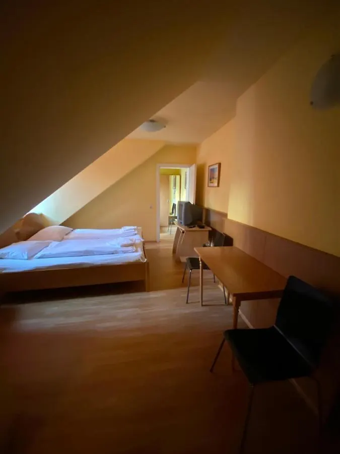 Appartement Pension 700M Zum Ring Vienna Austria